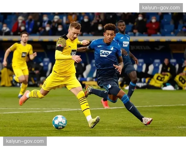 霍芬海姆主场控球率60%仍告负，进攻效率成致命伤